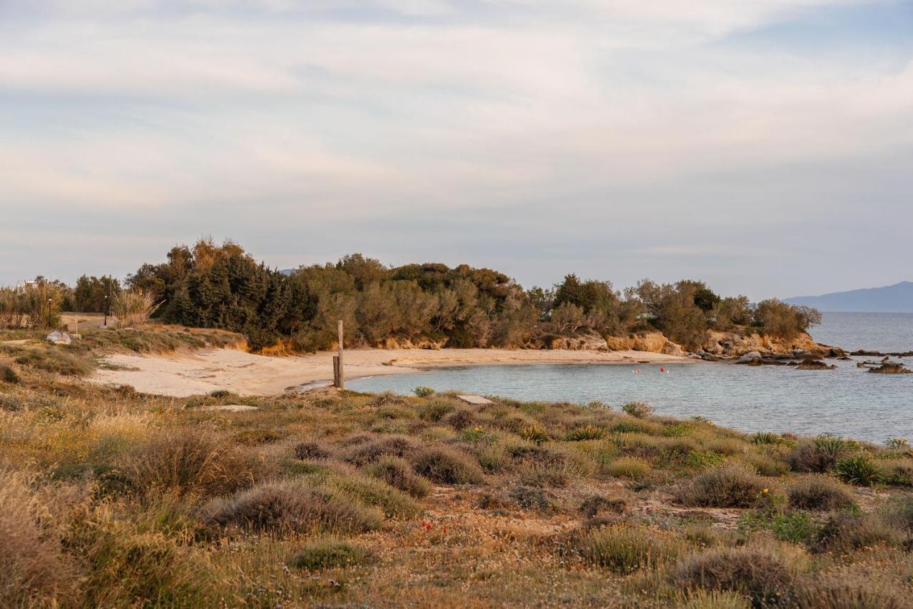 Villa Nausicaa Kastraki Naxos Naxos City Exteriör bild